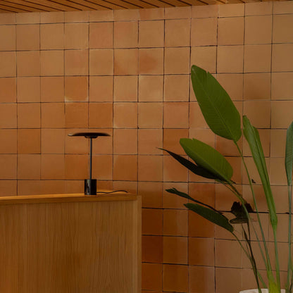 Faro Hoshi LED stolní stmívatelné svítidlo