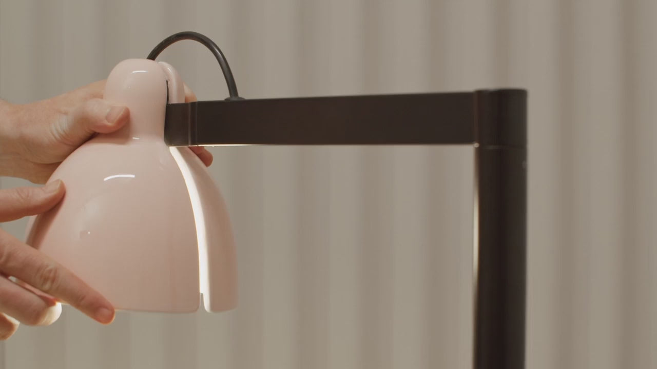 Учитај видео: Фаро Венеција